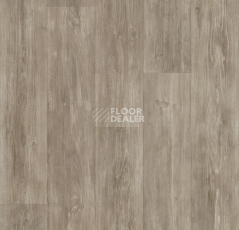 Линолеум Forbo De Luxe 2895-3026 aged pine фото 1 | FLOORDEALER